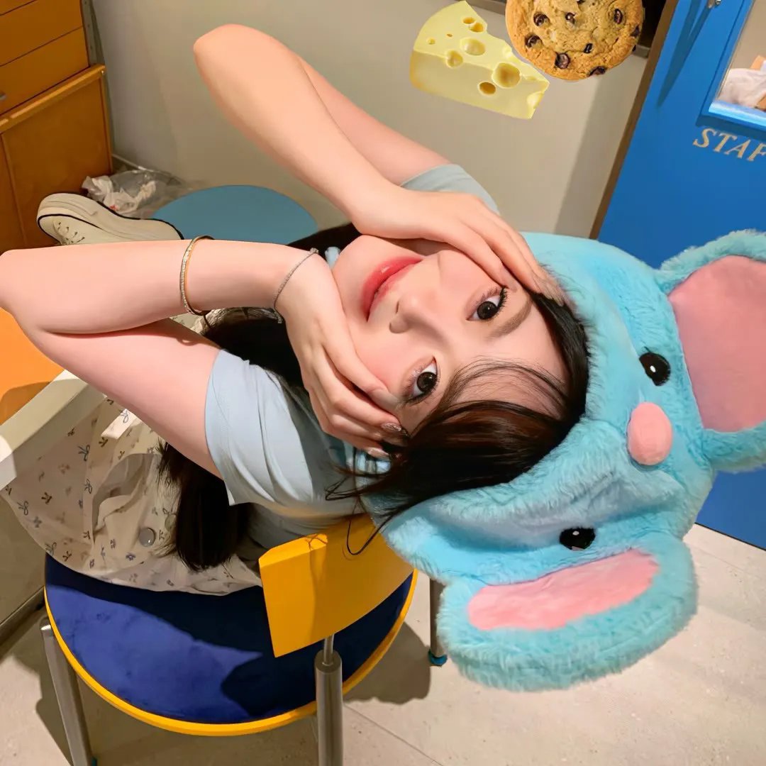 赞鸟历险记